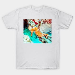 Orange Caribbean Sea Horse T-Shirt